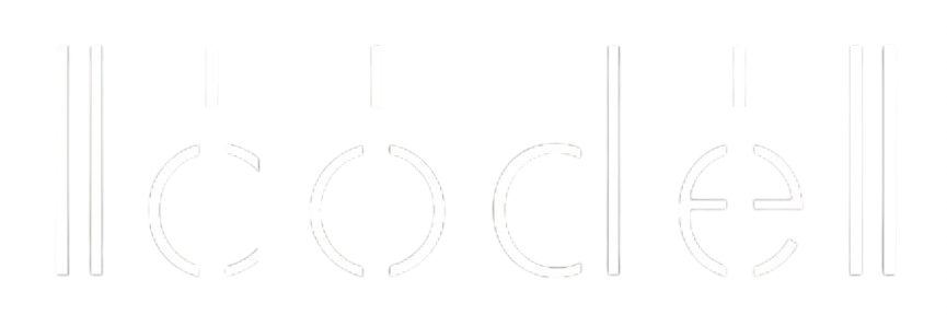 THE CODE AGENCY